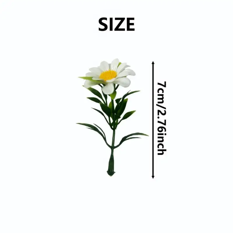 小雏菊